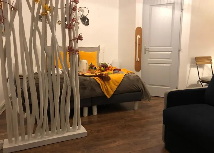 Apartment Les Appart's Des Demoiselles De Rochefort (Charente-Maritime)