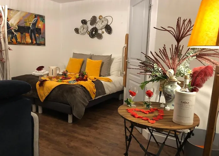 Les Appart's Des Demoiselles De Rochefort (Charente-Maritime)